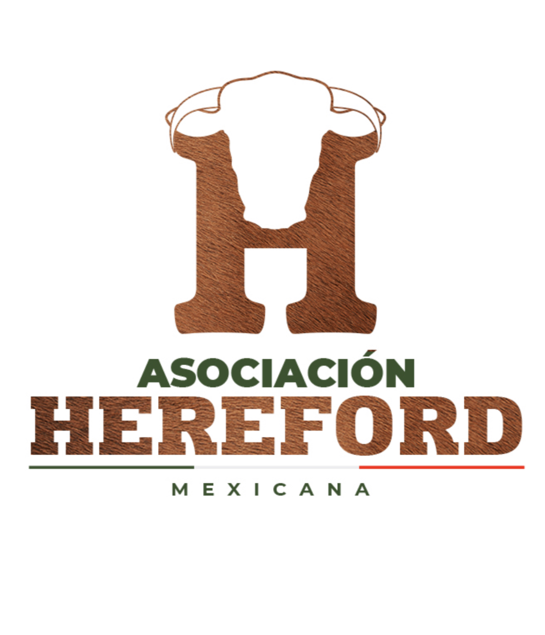 Hereford M茅xico