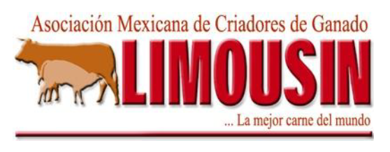 Limousin México